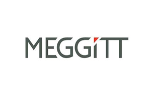 MEGGİTT